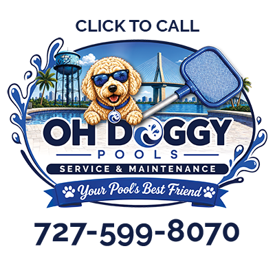 Call Oh Doggy Pools Service St. Petersburg